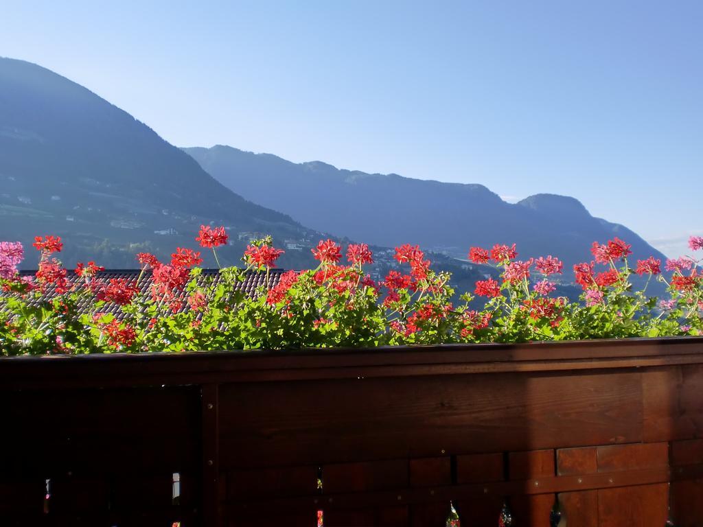 Appartments Innerhofer Rifiano Luaran gambar