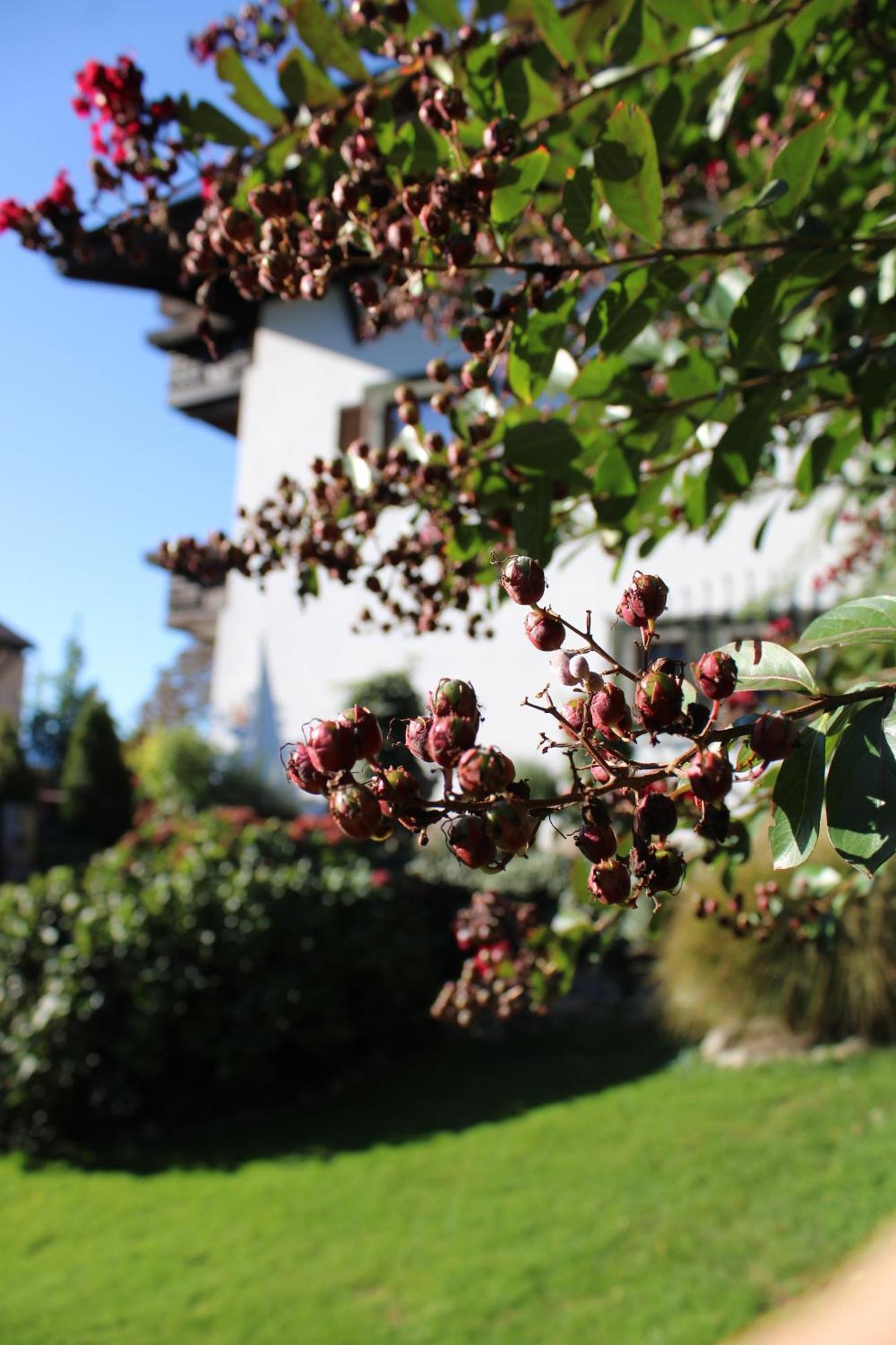 Appartments Innerhofer Rifiano Luaran gambar
