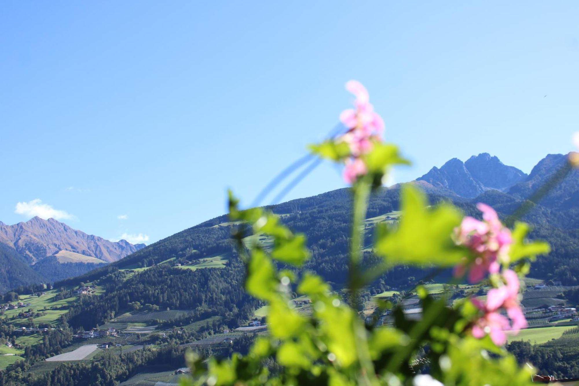 Appartments Innerhofer Rifiano Luaran gambar